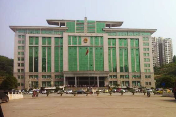 The government of Leiyang