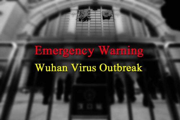 Wuhan Virus2